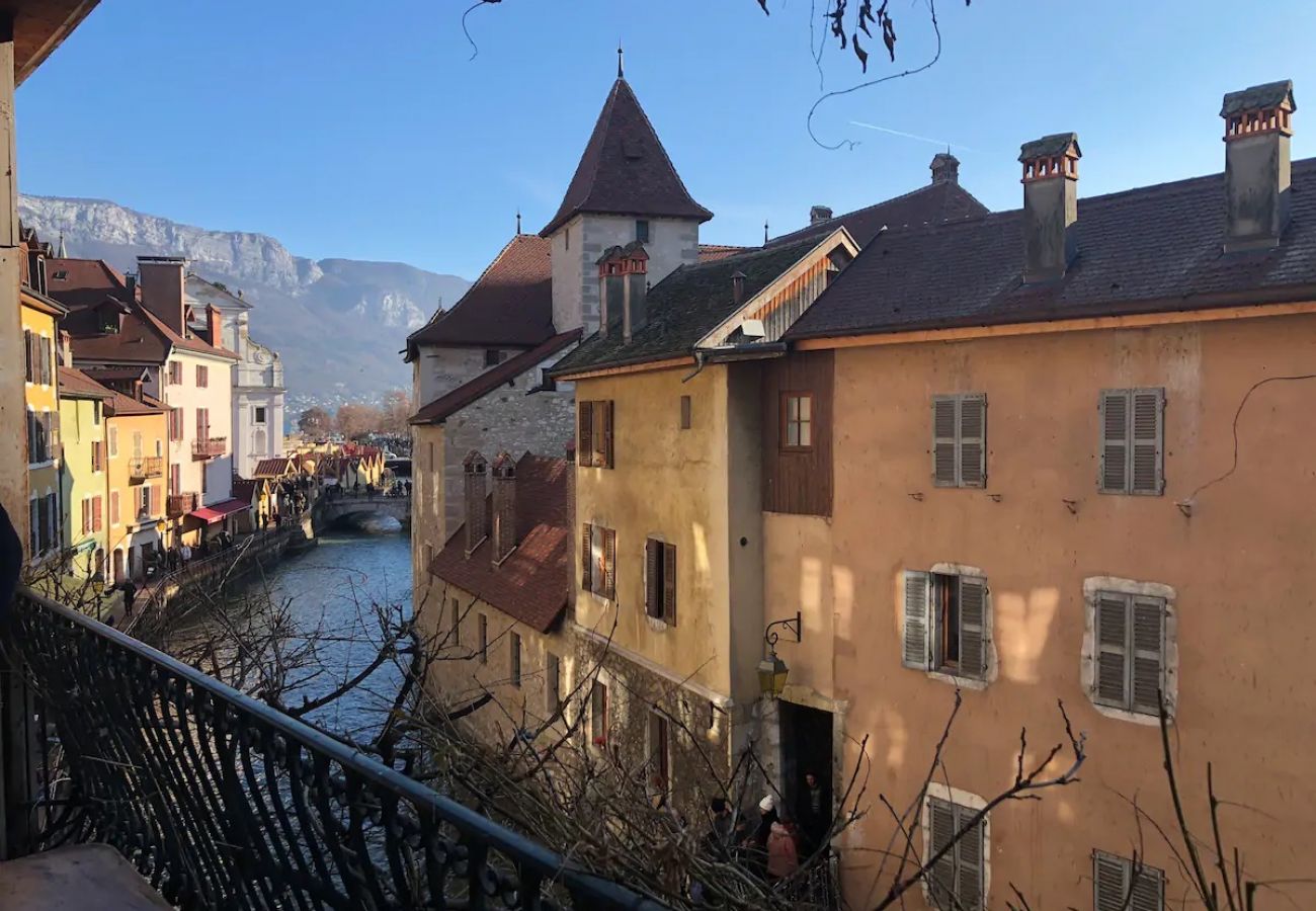 Apartment in Annecy - Le Rousseau