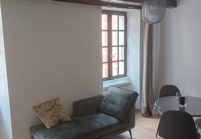 Apartment in Annecy - Le Carnot 2* Hypercentre Vieille Ville Annecy