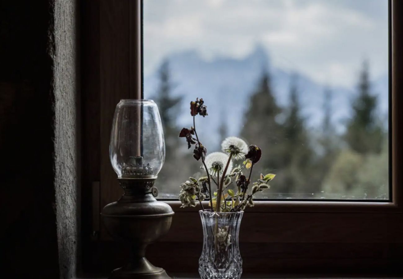 Chalet in Talloires-montmin - Venez Chez Vous Cosy Chalet le banc du cerf