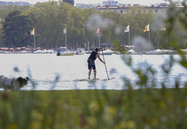 Apartment in Sévrier - Le Jardin de Boubioz Apartment in Sévrier - Le Jardin de Boubioz