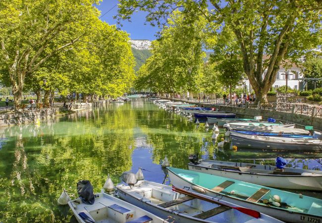 Apartment in Annecy - le fier pied a terre a annecy