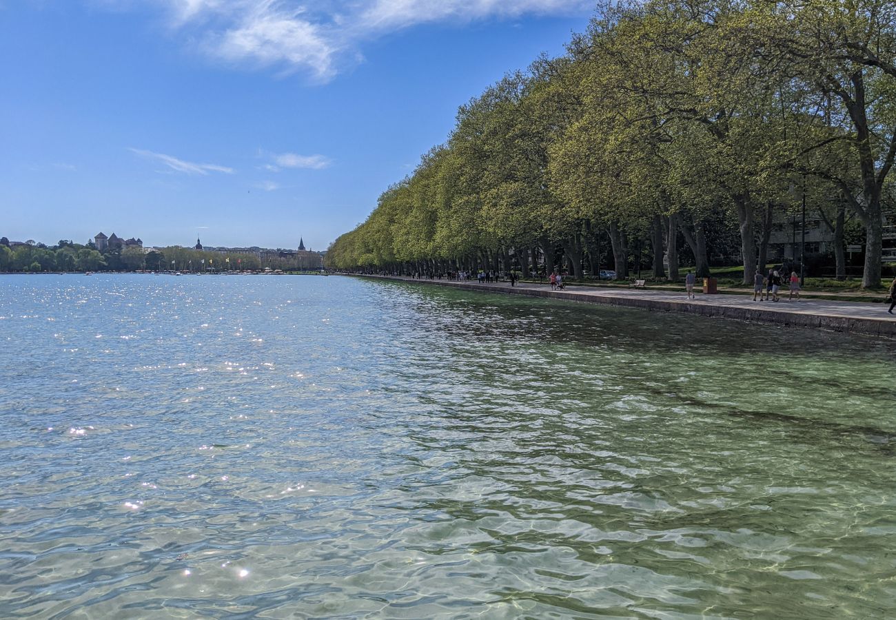 Apartment in Annecy - Chez Lou appartement proche du lac moderne