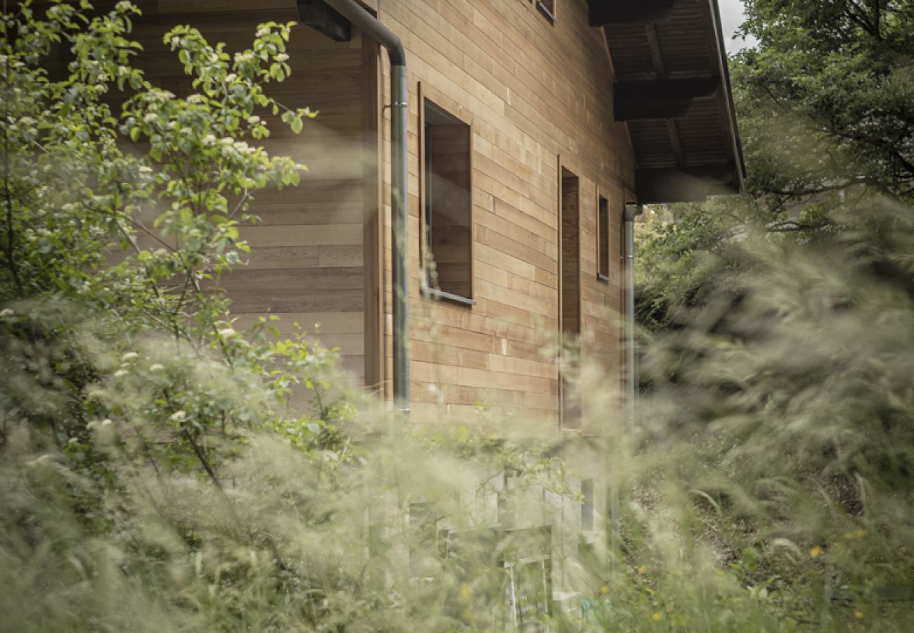 House in Doussard - Venez Chez Vous Le Chalet de Bredanne