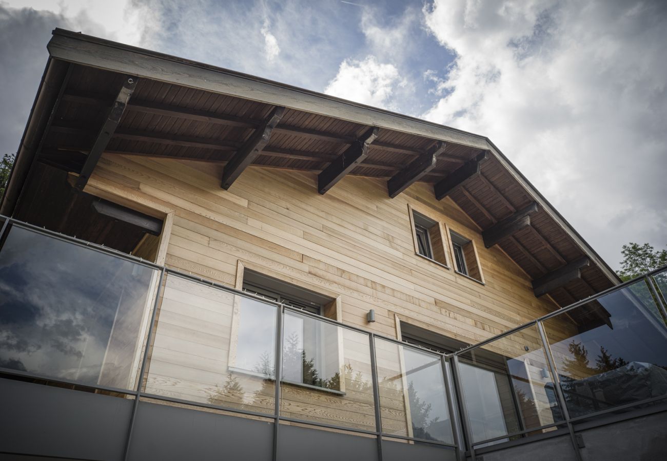House in Doussard - Venez Chez Vous Le Chalet de Bredanne