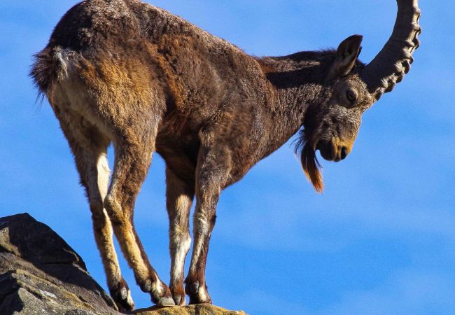 Apartment in Sévrier - L'Écrin Vue Lac Apartment in Sévrier - L'Écrin Vue Lac