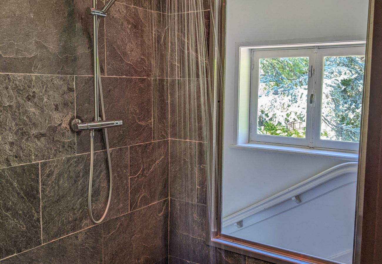 Villa in Talloires-montmin - Venez Chez Vous La Musardiere