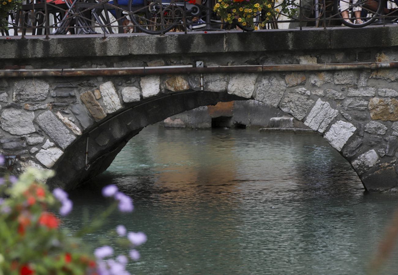 Appartement à Annecy - Le Thiou, Spacieux T3 Annecy