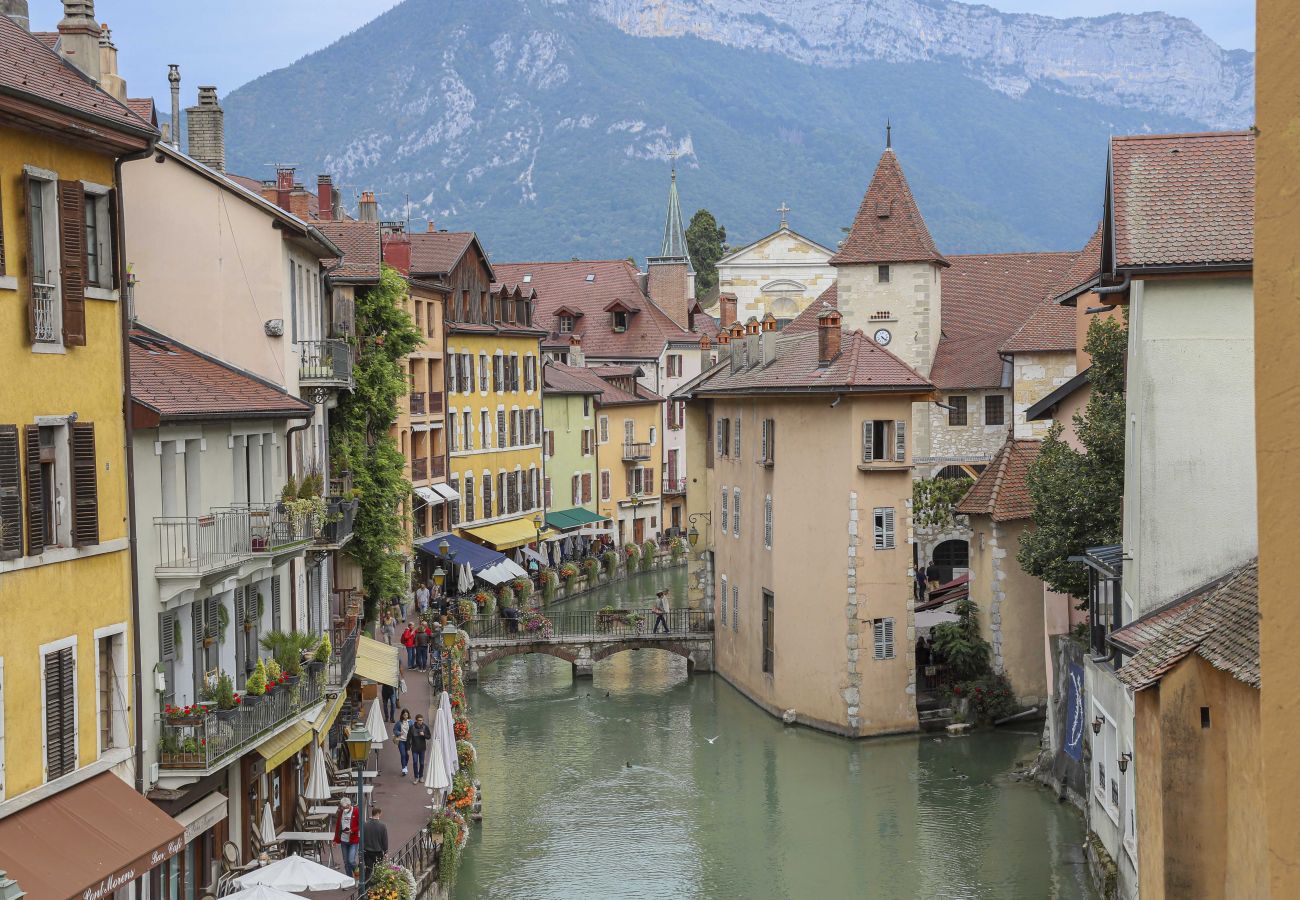 Appartement à Annecy - Le Thiou, Spacieux T3 Annecy