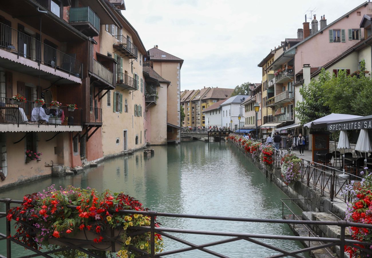 Appartement à Annecy - Le Thiou, Spacieux T3 Annecy