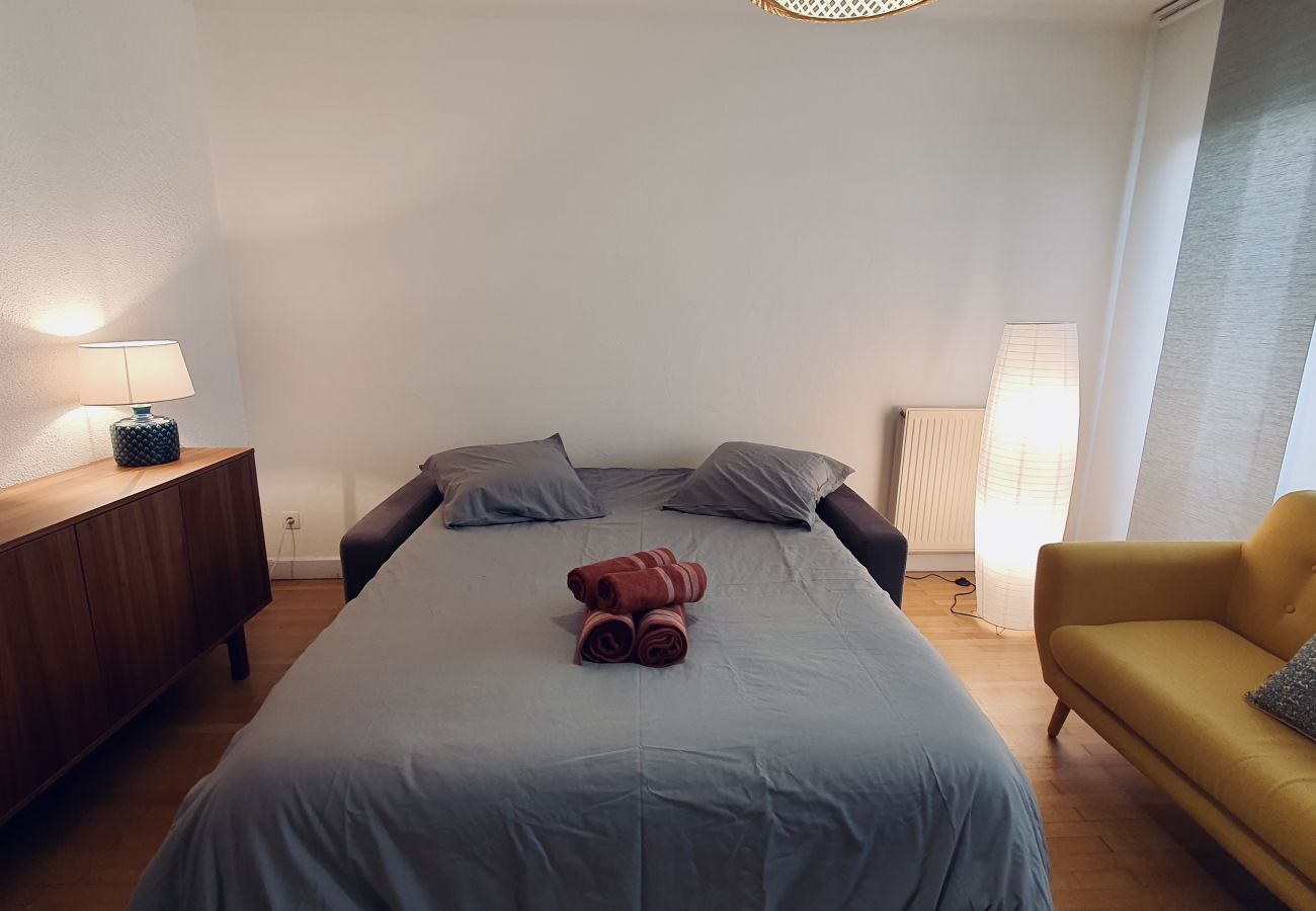 Appartement à Annecy - La parenthèse d’Aléry Annecy centre ville