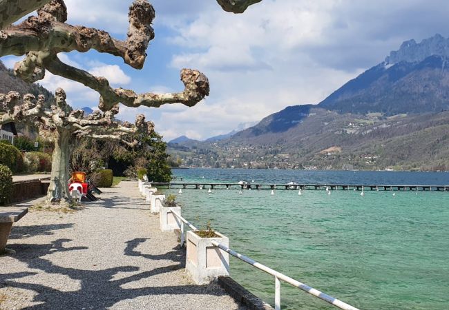 Studio à Doussard - Studio en bordure de Lac Studio à Doussard - Studio en bordure de Lac