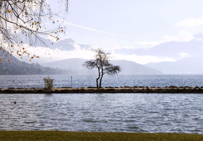 Appartement à Annecy - le fier pied a terre a annecy Appartement à Annecy - le fier pied a terre a annecy