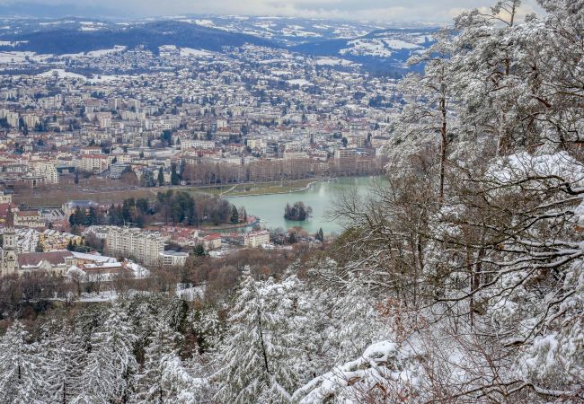 Appartement à Annecy - le fier pied a terre a annecy