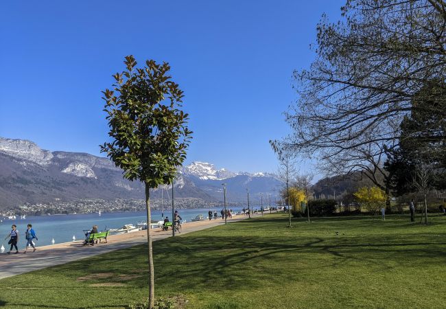 Appartement à Annecy - La Plume appartement avec parking et vue lac