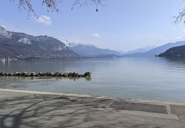 Appartement à Annecy - Azur 4* Bleu lumineux  Annecy centre-ville et lac Appartement à Annecy - Azur 4* Bleu lumineux  Annecy centre-ville et lac