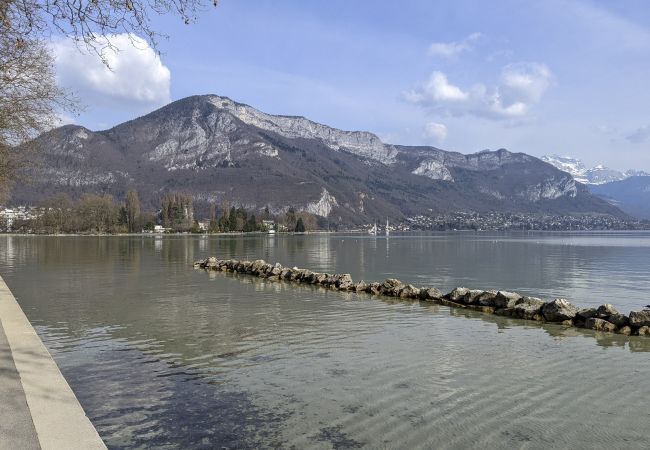 Appartement à Annecy - Azur 4* Bleu lumineux  Annecy centre-ville et lac Appartement à Annecy - Azur 4* Bleu lumineux  Annecy centre-ville et lac