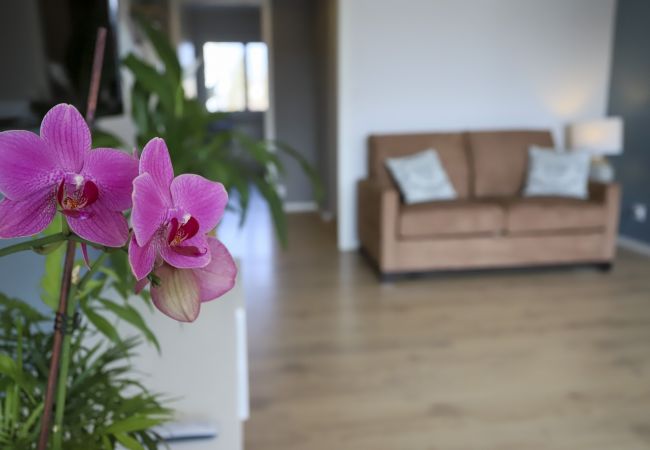 Appartement à Annecy - Azur 4* Bleu lumineux  Annecy centre-ville et lac Appartement à Annecy - Azur 4* Bleu lumineux  Annecy centre-ville et lac
