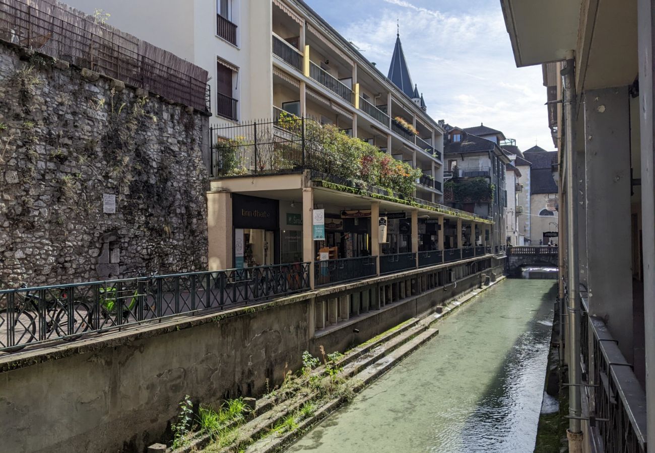 Appartement à Annecy - Rêve blanc à Annecy centre ville et lac 2 étoiles