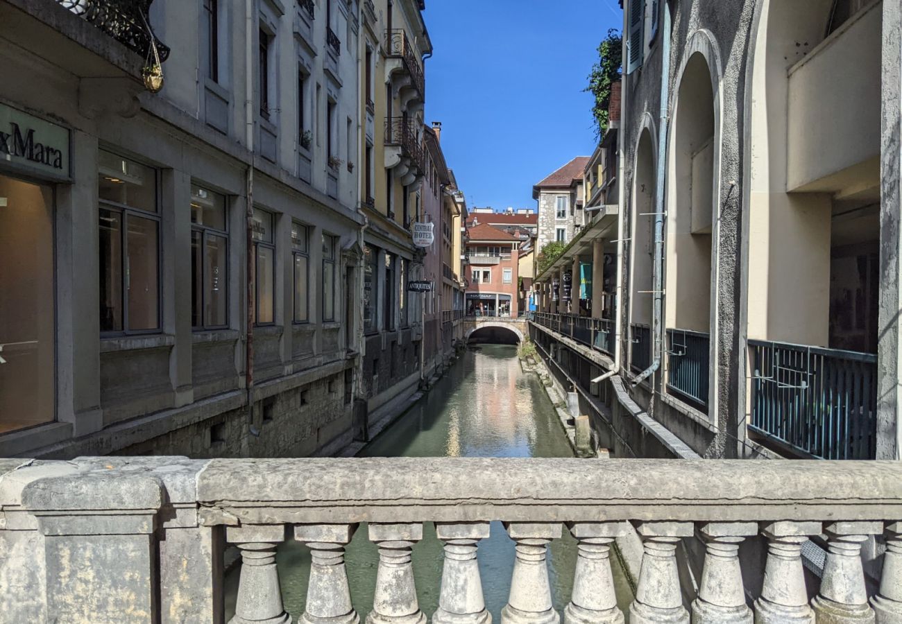 Appartement à Annecy - Rêve blanc à Annecy centre ville et lac 2 étoiles