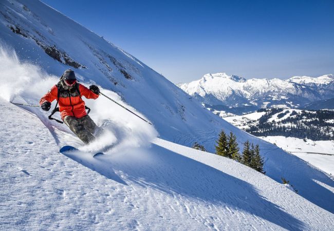 Appartement à Sévrier - L'Écrin Vue Lac Appartement à Sévrier - L'Écrin Vue Lac