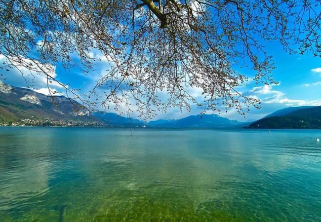 Appartement à Annecy - L'Échappée du 36 Appartement à Annecy - L'Échappée du 36