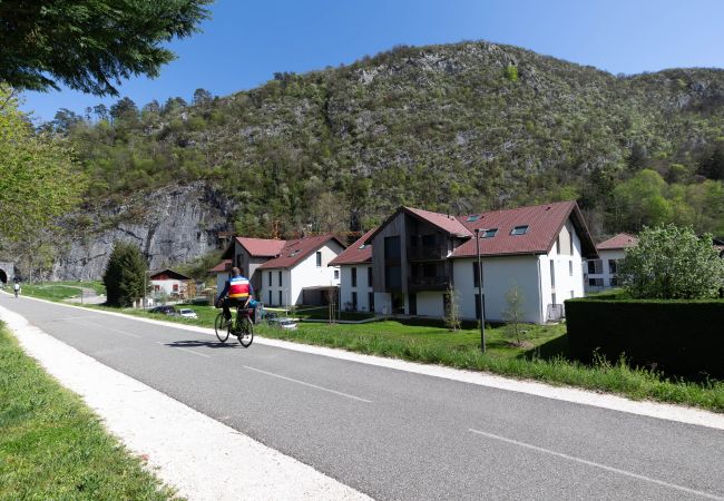 Appartement à Duingt - La Colombe - Bord de piste cyclable & lac