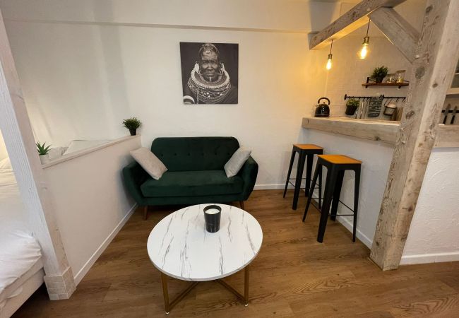 Studio à Annecy - Manaslu plein centre charmant et chaleureux Studio à Annecy - Manaslu plein centre charmant et chaleureux