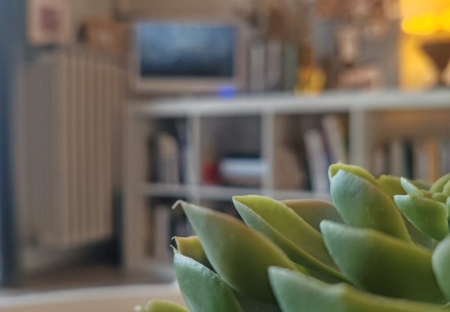 Appartement à Annecy - La perle 3*/ Proche Vieille-ville & Gare Appartement à Annecy - La perle 3*/ Proche Vieille-ville & Gare