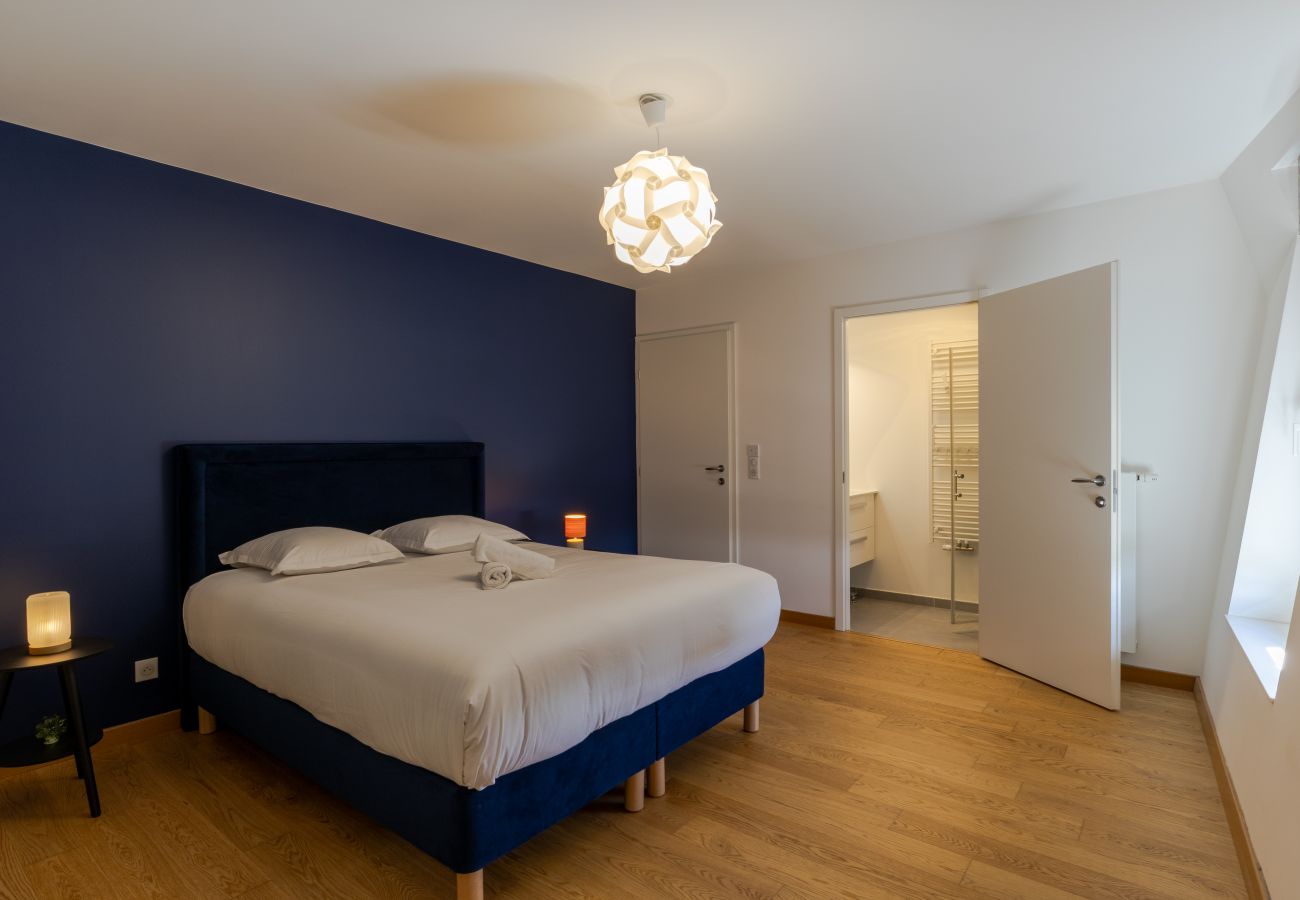 Appartement à Annecy - Hirondelle