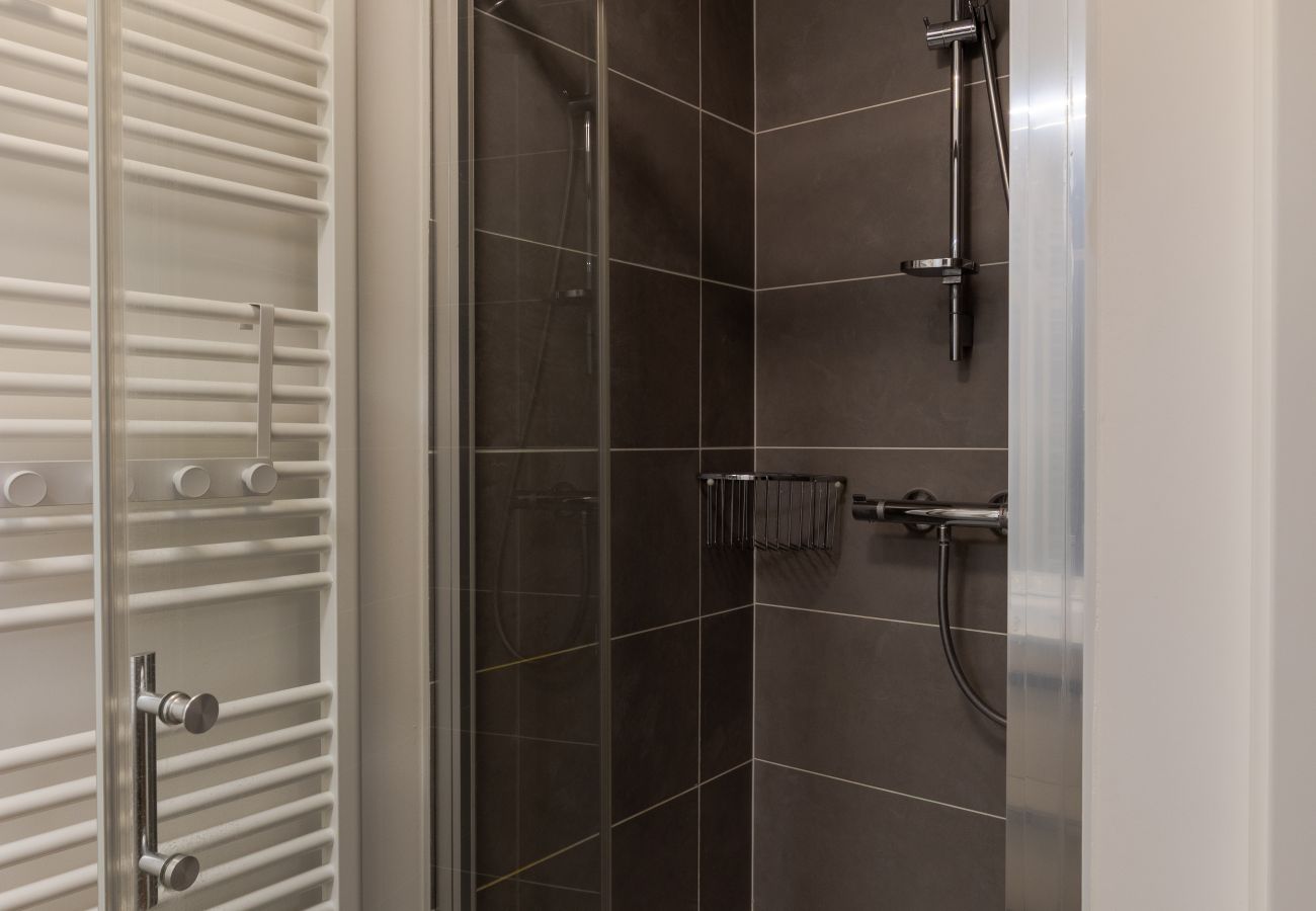 Appartement à Annecy - Hirondelle